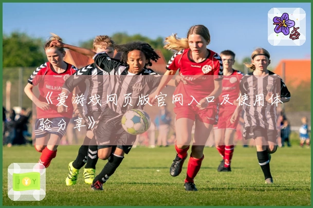 《爱游戏网页版官网入口及使用体验分享》