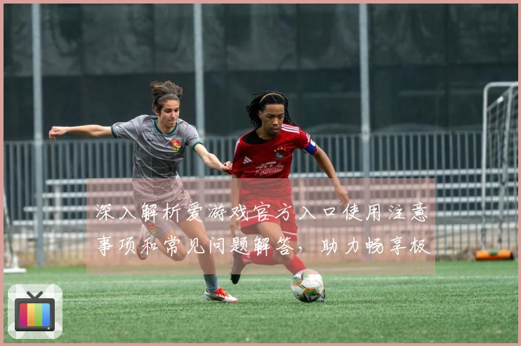 深入解析爱游戏官方入口使用注意事项和常见问题解答，助力畅享极致游戏体验